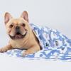 image1 Pack 3 Blankets Super Soft Fluffy Premium Cute Elephant Pattern Pet Blanket Flannel Throw for Dog Puppy Cat BluePinkYellow Small23x16 inchBluePinkYellow