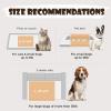 image1 Pack 3 Blankets Super Soft Fluffy Premium Fleece Pet Blanket Flannel Throw for Dog Puppy Cat Paw Brown Small23x16 inchGreypaw Line