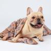 image1 Pack 3 Blankets Super Soft Fluffy Premium Fleece Pet Blanket Flannel Throw for Dog Puppy Cat Paw Brown Small23x16 inchPaw