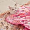 image1 Pack 3 Blankets Super Soft Fluffy Premium Fleece Pet Blanket Flannel Throw for Dog Puppy Cat Paw Brown Small23x16 inchPaw