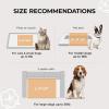 image1 Pack 3 Calming Blankets Fluffy Premium Fleece Pet Blanket Soft Sherpa Throw for Dog Puppy Cat Beige Small 23quot x16Beige