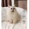 imageLuciphia 1 Pack 6 Dog Blankets Cat Soft Fluffy Fleece Pet Blanket Warm Cute Print Design Puppy Kitten Doggy Bone Small23quotx16quotDot