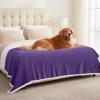 imageLuciphia Waterproof Blanket for Large Dogs Liquid Proof Furniture Protector Washable Pet Reversible Bed Cover for Couch Soft Sherpa Fleece Cat Blanket for Small Medium Grey Small40quot x 28quotPurple White