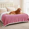 imageLuciphia Waterproof Blanket for Large Dogs Liquid Proof Furniture Protector Washable Pet Reversible Bed Cover for Couch Soft Sherpa Fleece Cat Blanket for Small Medium Grey Small40quot x 28quotPink White
