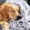 imageLuciphia Large Waterproof Dog Blanket Pet Washable Liquid Proof Furniture Protector Extra Large Calming Long Faux Fur Bed Cover for Couch Cat Blankets Reversible Protection Mist Grey 60quot x 80quotMist Grey