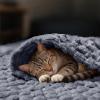 imageLuciphia Fleece Dog Blanket for Small Medium Large Dogs 3D Jacquard Flannel Puppy Cat Pet Throw Blankets Soft Washable Decorative Furniture Protect Pcs3GreyWhitePink S23x16Grey