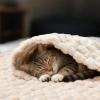 imageLuciphia Fleece Dog Blanket for Small Medium Large Dogs 3D Jacquard Flannel Puppy Cat Pet Throw Blankets Soft Washable Decorative Furniture Protect Pcs3GreyWhitePink S23x16White