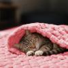 imageLuciphia Fleece Dog Blanket for Small Medium Large Dogs 3D Jacquard Flannel Puppy Cat Pet Throw Blankets Soft Washable Decorative Furniture Protect Pcs3GreyWhitePink S23x16Pink