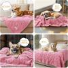 imageLuciphia Small Dog Blanket Washable Pet Bed Cover Soft Fluffy Puppy Blanket with Premium Fleece 300GSM Cozy Calming Cat Blankets for Indoor Cats Pink 30x20 inchPink