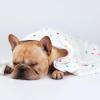 image1 Pack 3 Blankets Super Soft Cute Dot Pattern Pet Blanket Flannel Throw for Dog Puppy Cat PurplePinkCyan SmallBrown2