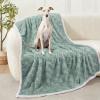 imageLuciphia Waterproof Dog Blanket for Small Dogs Washable Soft Sherpa Fleece Cat Blankets with 3D Jacquard Cozy Calming Reversible Couch Protector Furniture Protection for Pet Blue White 40x28 inchMint Green