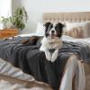 imageLuciphia Waterproof Pet Blanket Liquid Pee Proof Dog Blanket for Sofa Bed Couch Reversible Sherpa Fleece Furniture Protector Cover for Small Medium Large Dogs Cats KhakiBeige Small40quot x 28quotGreybeige