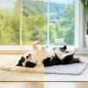 image:imageLuciphia Premium Dog Cooling Mat NonSlip QMAXgt05 SelfCooling Pad for Small Pet Cat Indoor Portable Kennel Puppy Bed for Summer Crate Pad for Dog Washable Light Grey 20x30 inchesLight Grey