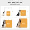 image:imageLuciphia Waterproof Pet Blankets for Couch Sofa Bed Cover Cat Liquid Pee Proof Washable Soft Fluffy Large Dog Blanket Reversible Furniture Protection Puppy Grey Paw Thicken King Size100 x 85Grey Bone