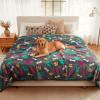 image:imageLuciphia Waterproof Pet Blankets for Couch Sofa Bed Cover Cat Liquid Pee Proof Washable Soft Fluffy Large Dog Blanket Reversible Furniture Protection Puppy Grey Paw Thicken King Size100 x 85Grey Bone