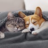 image:imageLuciphia Waterproof Blanket for Dog Washable Reversible Sherpa Fleece Throw Blanket for Bed Couch Soft Liquid Pee Proof Furniture Cover Protector for Small Medium Large Pet Cat Grey 35 x 25Light Grey